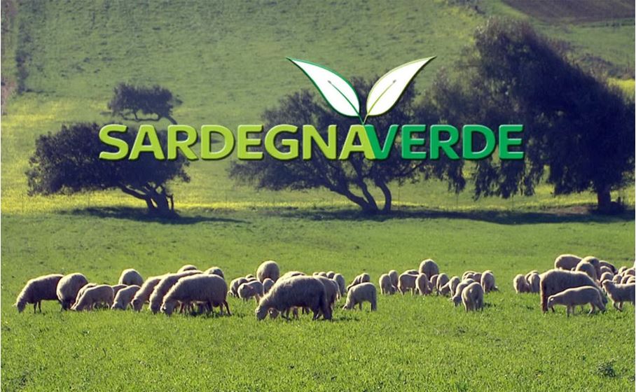 Sardegna Verde. Puntata 31 del 06.11.2022